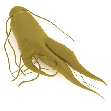 ginseng kökü gerçekçi 3d render