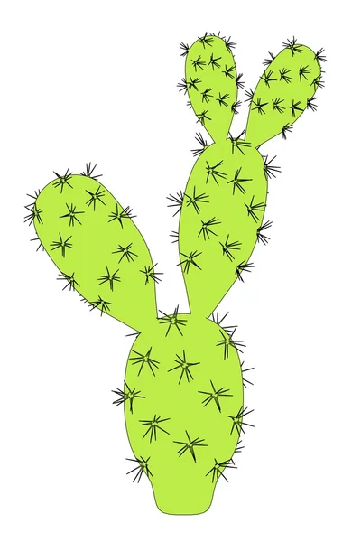 Tecknad bild av kaktus blommaεικόνα κινουμένων σχεδίων από το άνθος του κάκτου — Φωτογραφία Αρχείου