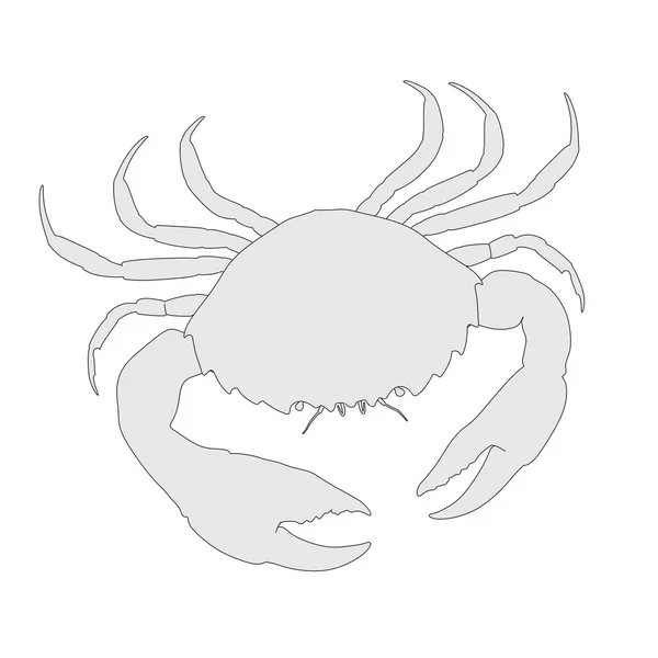 Cartoon image of crustacean animal - crab — Stock Photo, Image