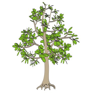 karikatür resim lowpoly bitki