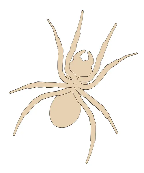 Мультиплікаційне зображення павука — стокове фото
