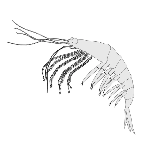 Image de dessin animé d'un animal crustacé - krill — Photo