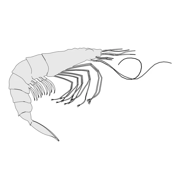 Cartoon image of crustacean animal - shrimp — Stock Photo, Image