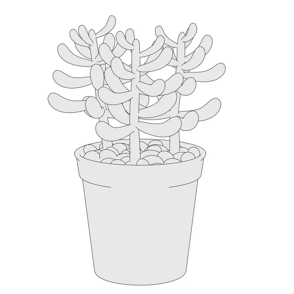 Kreslený obrázek sukulentní rostliny — Stock fotografie
