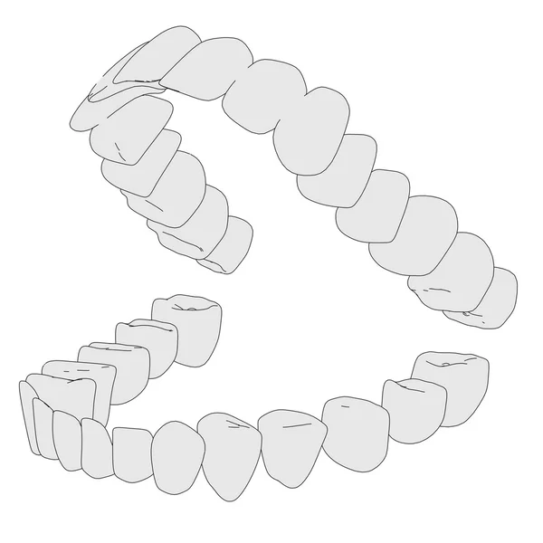 Cartoon image of human teeth — Stock Photo, Image