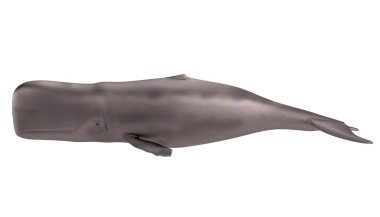 gerçekçi 3d render Whale