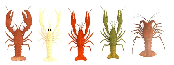 Realistic 3d render of crustacean set — Stock Photo, Image