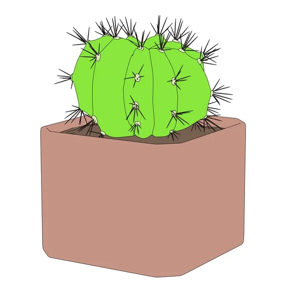 Cartoon afbeelding van de cactus in pot — Stockfoto