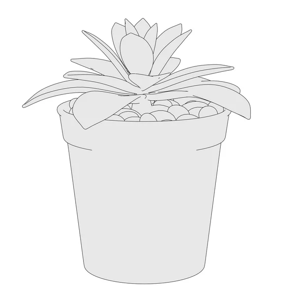 Cartoon image of succulent plant — Stock Photo, Image