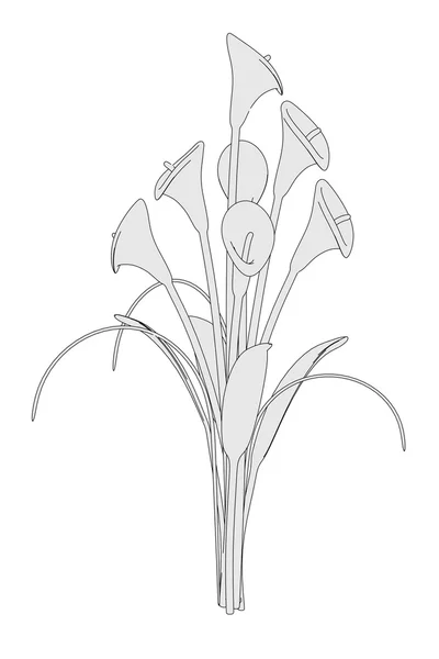 Kreslený obrázek cala lilly — Stock fotografie