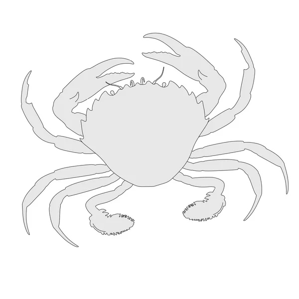 Cartoon image of crustacean animal - crab — Stock Photo, Image