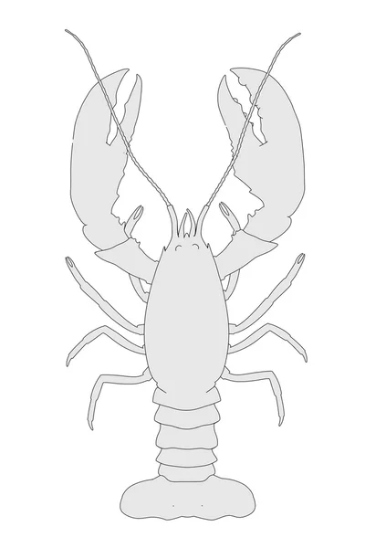 小龙虾动物卡通形象 — 图库照片