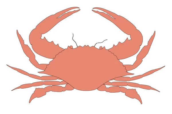 Image de bande dessinée de crabe animal — Photo