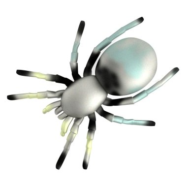 tarantula gerçekçi 3d render
