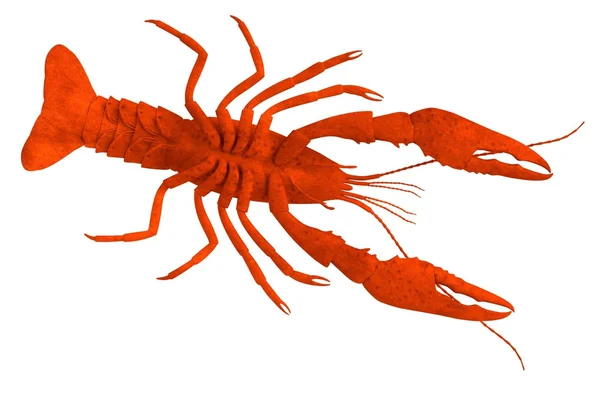 Realistic 3d render of crustacean - dead crayfish — Stock Photo, Image