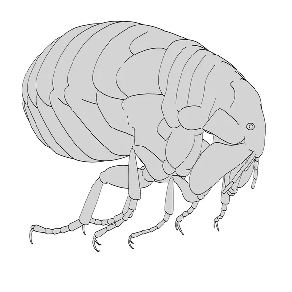 跳蚤 bug 的卡通形象 — 图库照片