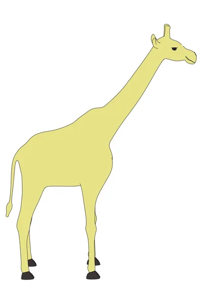 Cartoon image of giraffe animal — Stock Photo, Image