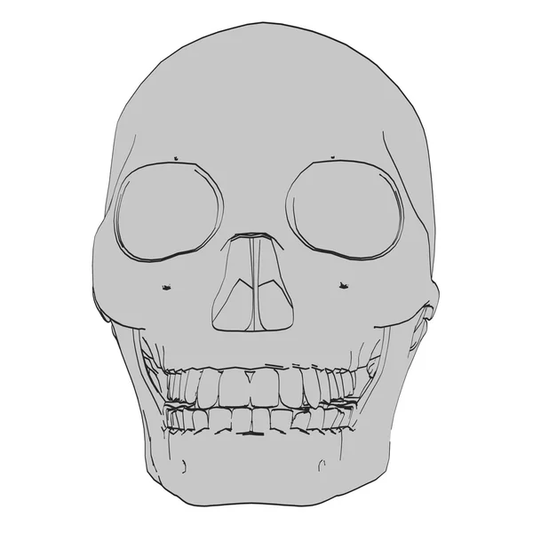 남성 두개골의 만화 이미지 — 스톡 사진