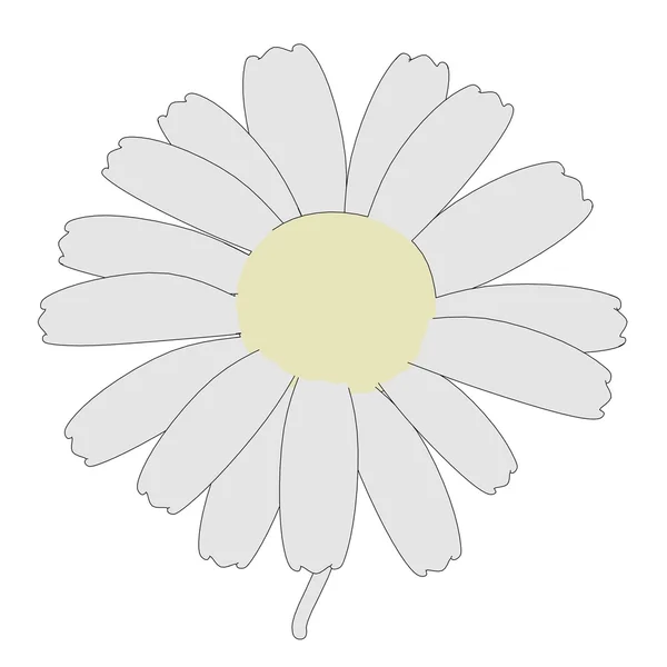 Kreslený obrázek květu sedmikrásky — Stock fotografie