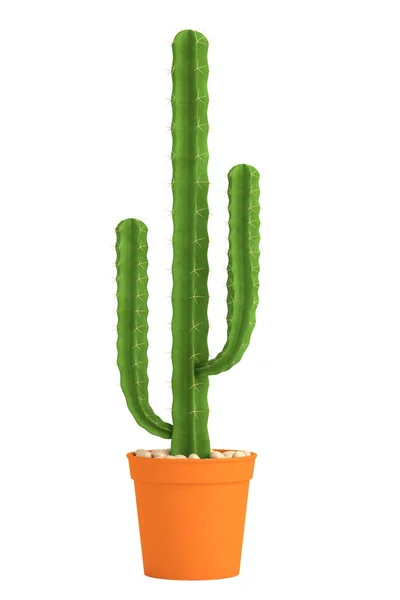 Realista 3d renderizado de cactus —  Fotos de Stock