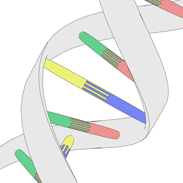 Imagem dos desenhos animados da estrutura do ADN — Fotografia de Stock