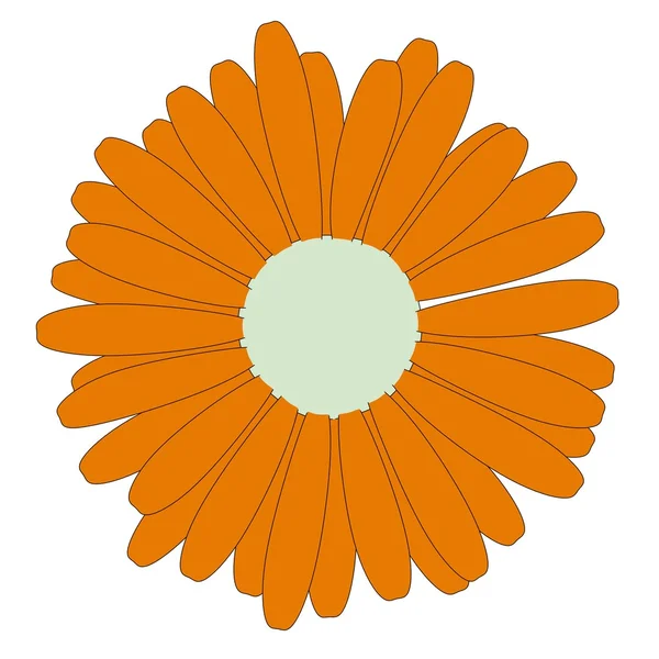 Cartoon image of gerbera flower — Stock Photo, Image