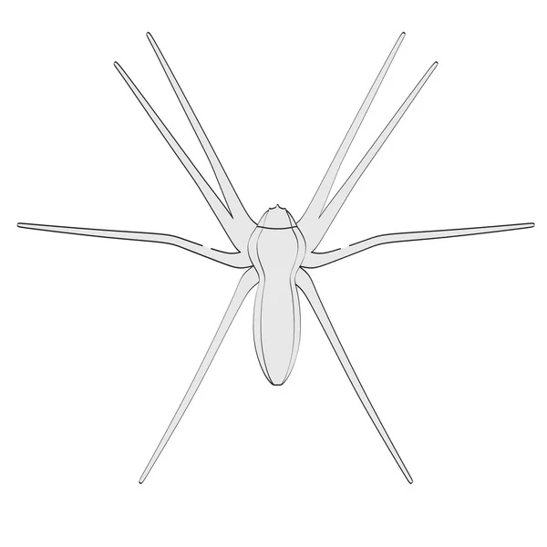 Карикатура на pisaura mirabilis — стоковое фото