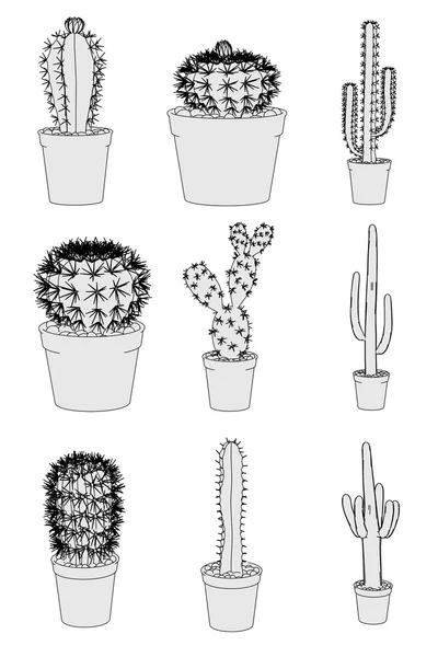 Image de bande dessinée de fleurs de cactus — Photo