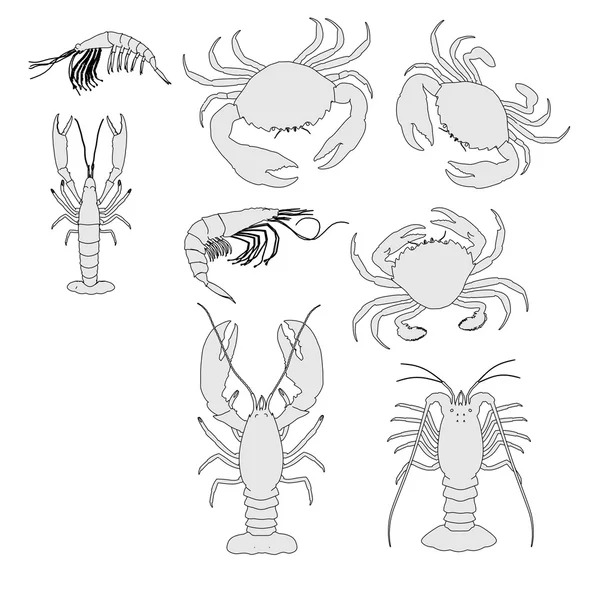 Cartoon image of crustacean animal set — Stock Photo, Image