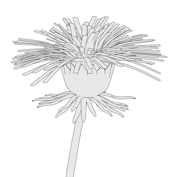 Cartoon image of dandelion flower — Stock Photo, Image