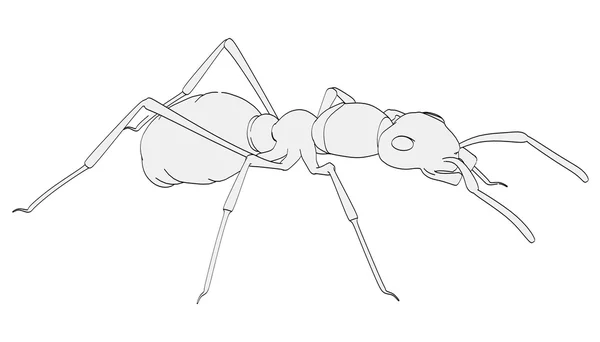 Imagem dos desenhos animados de formica rufa — Fotografia de Stock