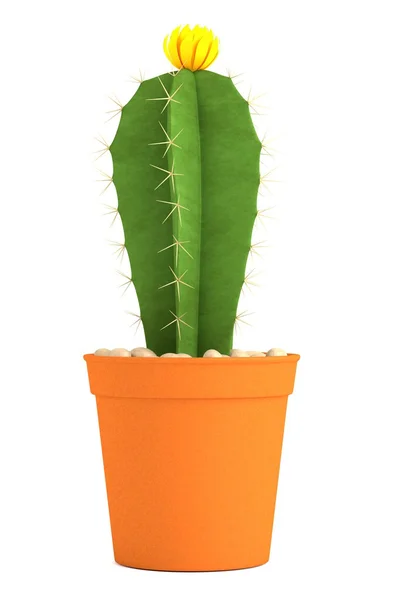 Rendu 3d réaliste de cactus — Photo