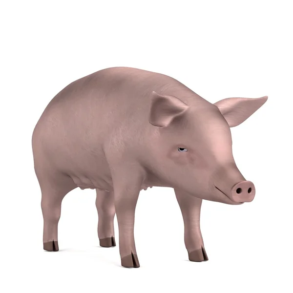 Realistic 3d render of pig — Stock Photo, Image