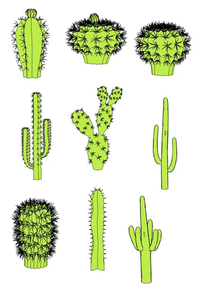 Image de bande dessinée de fleurs de cactus — Photo