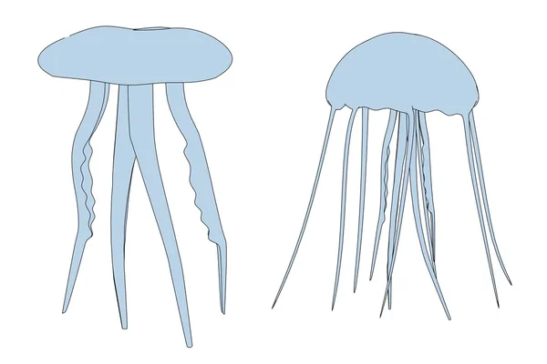 Kreskówka obraz jellyfishes — Zdjęcie stockowe