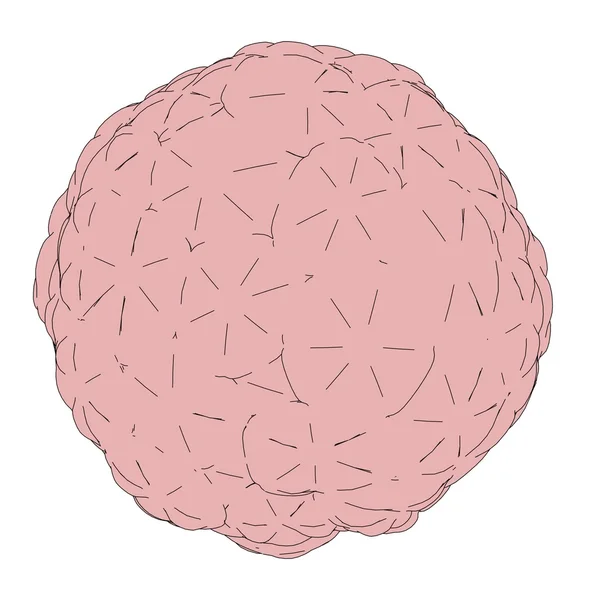 Карикатурное изображение клеток морулы — стоковое фото