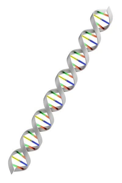 Realistyczne renderowanie 3d DNA — Zdjęcie stockowe