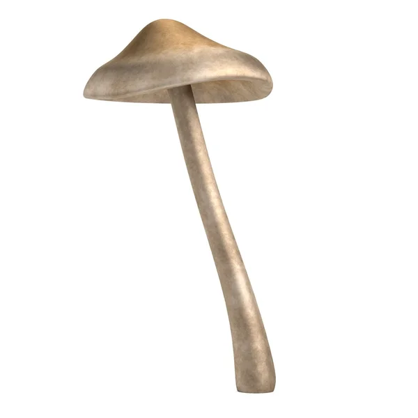 Воссоздание 3D Render of Mushroom — стоковое фото