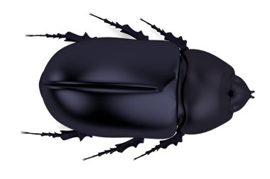 bir böcek gerçekçi 3d render