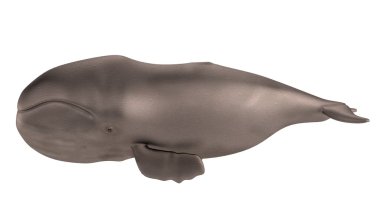 gerçekçi 3d render Whale