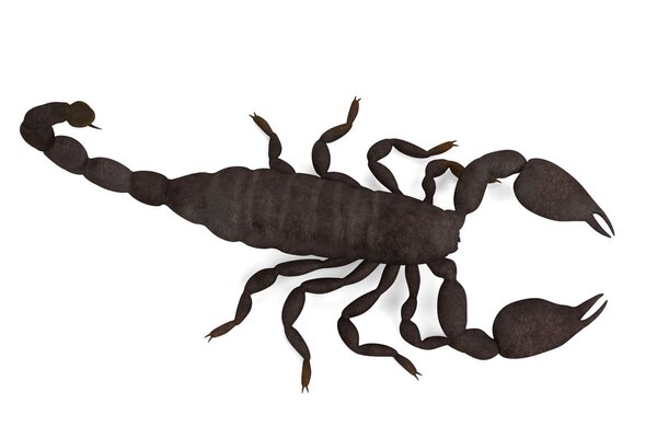 Realistic 3d render of black emperor