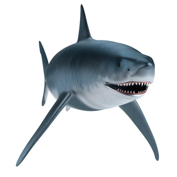 Rendu 3d réaliste de requin — Photo