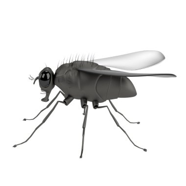anında gerçekçi 3d render