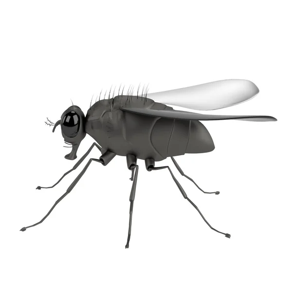 Realistic 3d render of fly — Stock Photo, Image