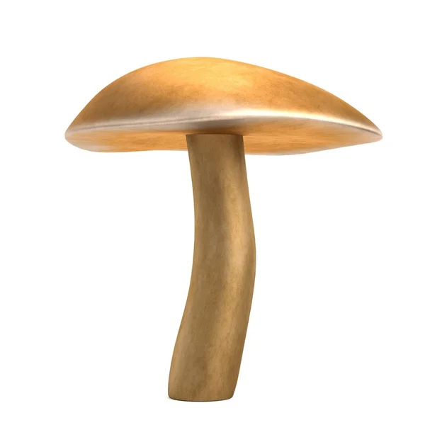 Realistic 3d render of mushroom — Stock Photo, Image