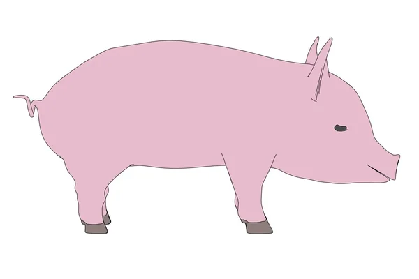 Küçük domuz çizgi film resim — Stok fotoğraf