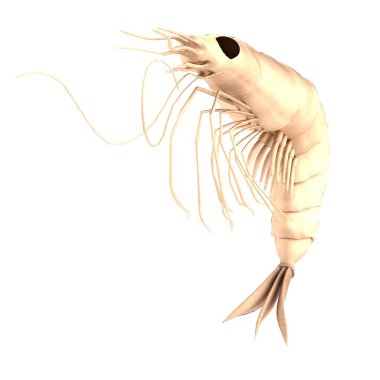 karides Eklem bacaklılar - gerçekçi 3d render