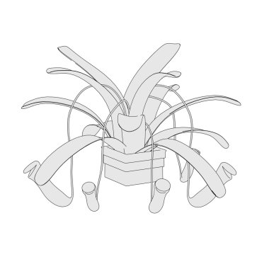 karikatür resim etçil bitki