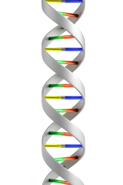 Realistische 3D-Darstellung von dna — Stockfoto