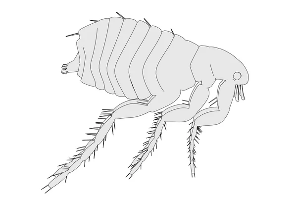 Cartoon illustration of flea insect — Stock Photo, Image